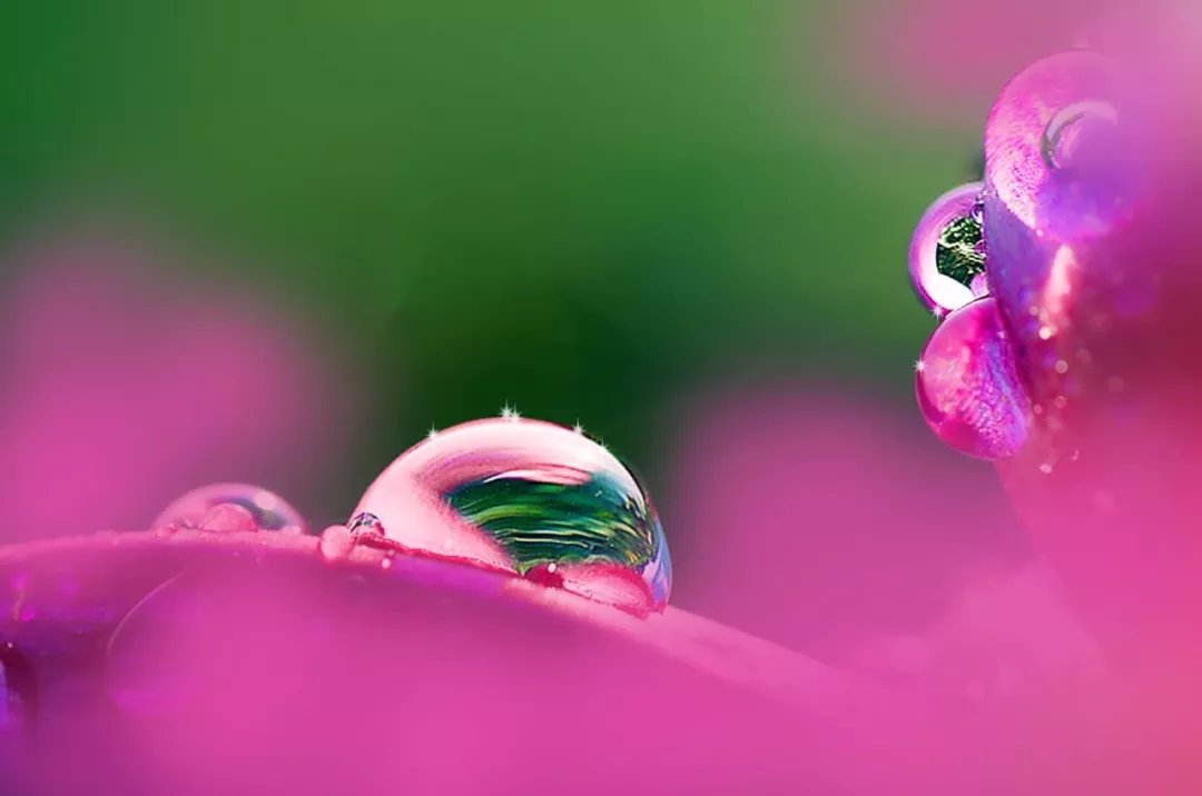大道至简，繁在人心|诗词 | 茅草屋