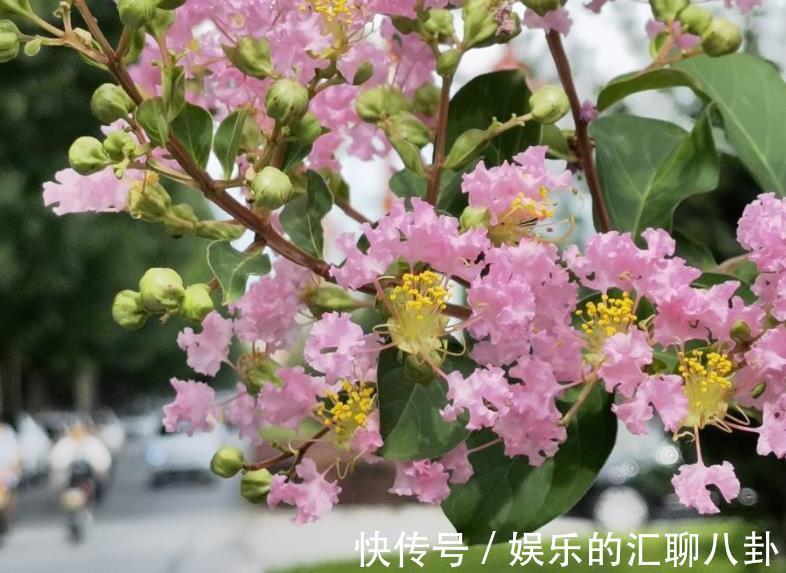 处女座|接下来三年,4个星座,埋头苦干,不惧困难,总能将苦日子变甜