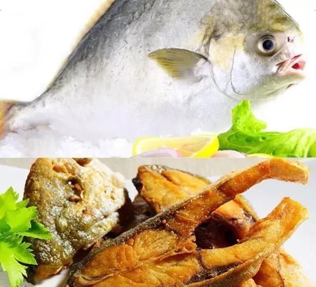 年龄段|作为一种优质鱼类,全身只有一根大刺,适合所有年龄段