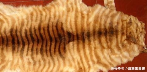 草木灰|古代女子没有卫生巾怎么办?原来她们有奇招