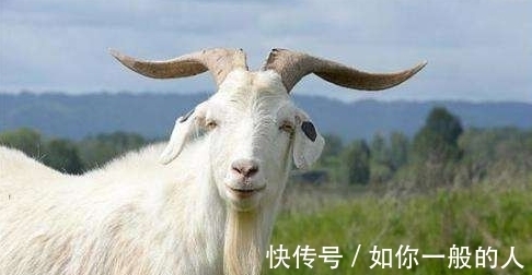 梦见|孕妇梦到这4件事,是吉兆,预示是男宝宝且大有作为