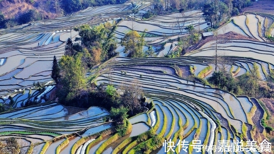 哈尼梯田|通往天堂的阶梯，红河哈尼梯田，简直美的和画一样！