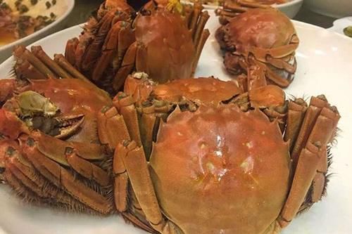  排尿|尿酸容易超标，什么原因导致？快速排尿酸的方法你需要知道