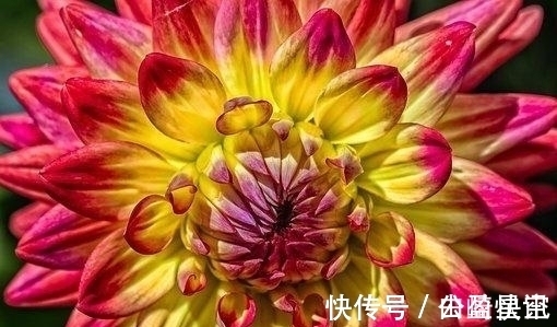 桃花|三天后，桃花渐开，海誓山盟，重聚旧爱，拥抱旧爱，终身幸福