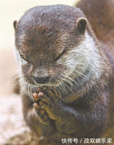 老年人|“老年痴呆”比癌症还揪心的一个病，一个方子送给天下老人