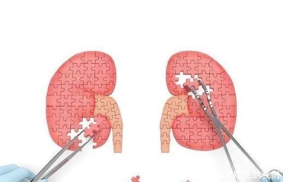  不好|肾脏不好，往往会有“2黄3臭”的现象，若你没有，肾脏还算健康