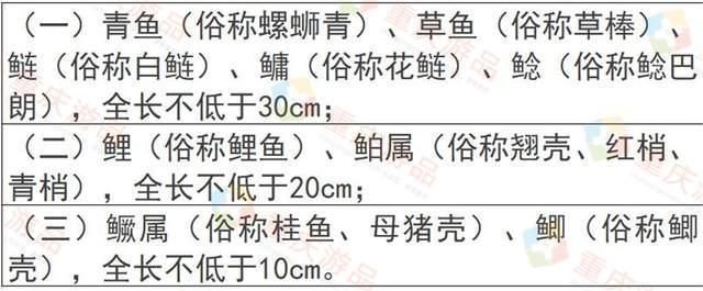重庆钓鱼爱好者注意,最新垂钓管理办法实施,钓具也有限制!