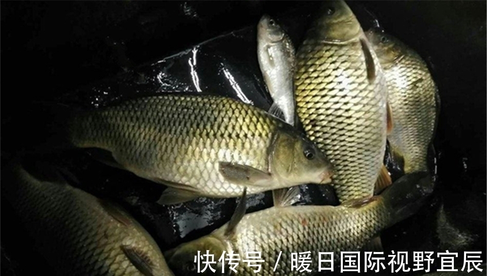 夜钓跟白天钓鱼最大的区别,就在选择钓位上,跟白天刚好相反!