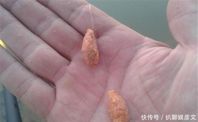 关注|关于台钓法的一些经验技巧,满满的经验之谈,钓鱼新人值得关注