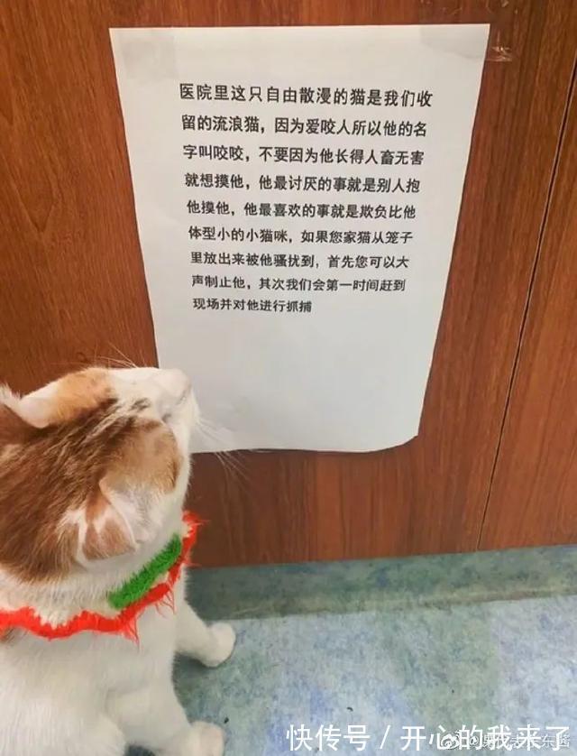 |希望有个人能看透我不是真正的快乐 冷段子1614