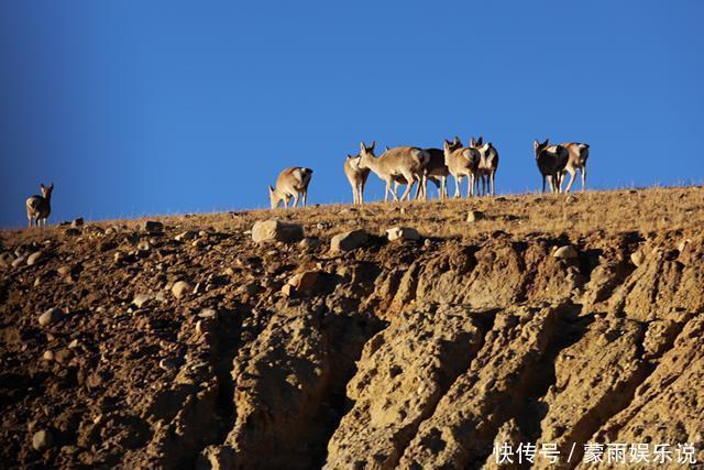 中尼边境发现2个世外农村,一个在8k米雪山下,一个在佩枯措边