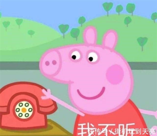 面貌|动画《小猪佩奇》,透过孩子的双眼来重新审视这个世界的真实面貌