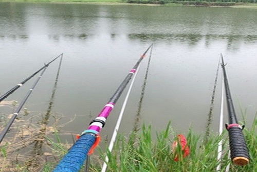 水域|夏季野钓不上鱼怎么办老钓友告诉你三招，夏季野钓上鱼多