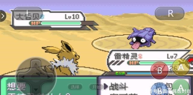 铁甲贝|口袋妖怪龙系天王的最大克星！“屠龙贝”了解一下！