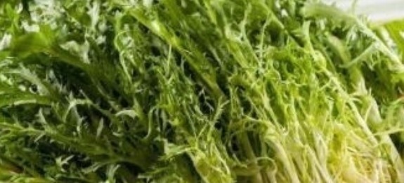 野菜|农村一种野菜,以前没人吃,现在发现能清热解暑,一斤20块钱