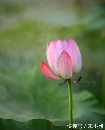 富得流油|10月下旬，4属相贵人相助，吉星伴身，生活越来越幸福