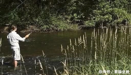 初夏的鲫鱼实在是好钓，只需留意5小点，轻而易举的爆护