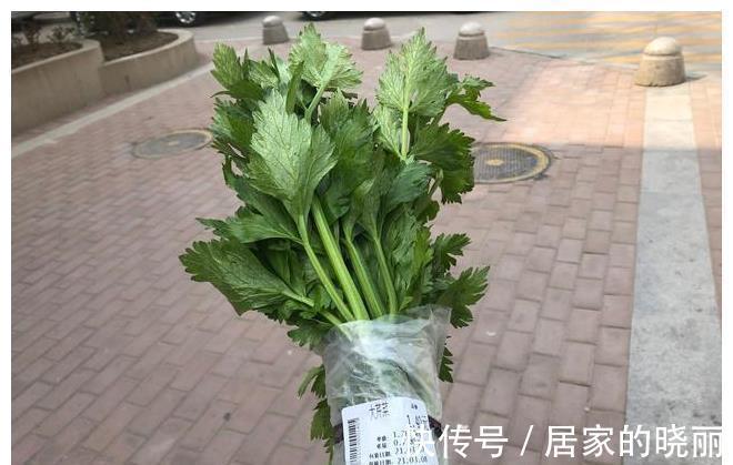 土鸡蛋|这菜叶比茎营养高，当垃圾丢掉太可惜，加上鸡蛋炒一盘，味道真香