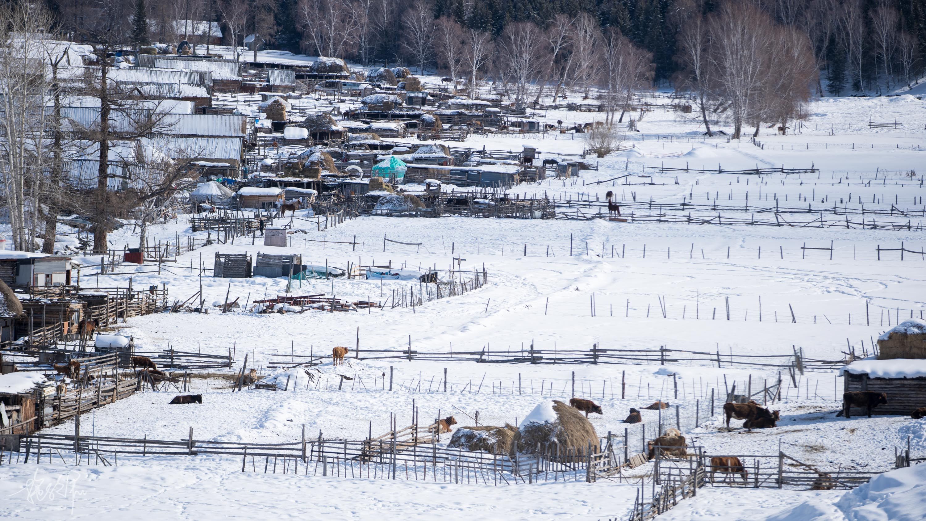 自驾新疆23天：北疆冰雪童话世界（上）