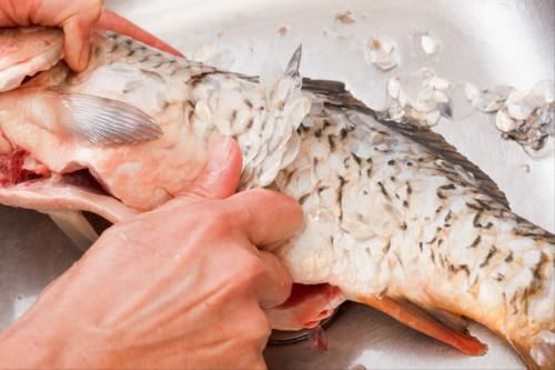 炖鱼汤|煎鱼要想不破皮,就不要直接下锅,多加2步,鱼皮不破不粘锅