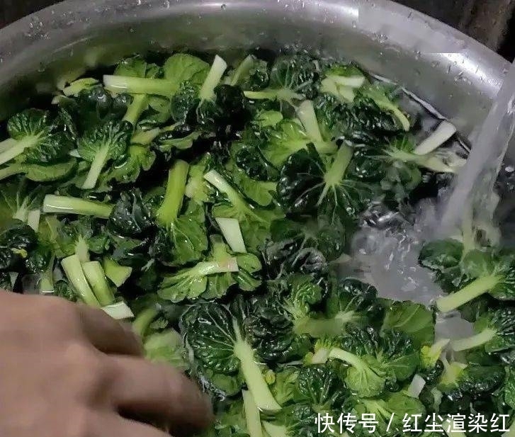 松江话“踏踏滑滑”,打一菜名,你能猜对吗?【爱申活暖心春】