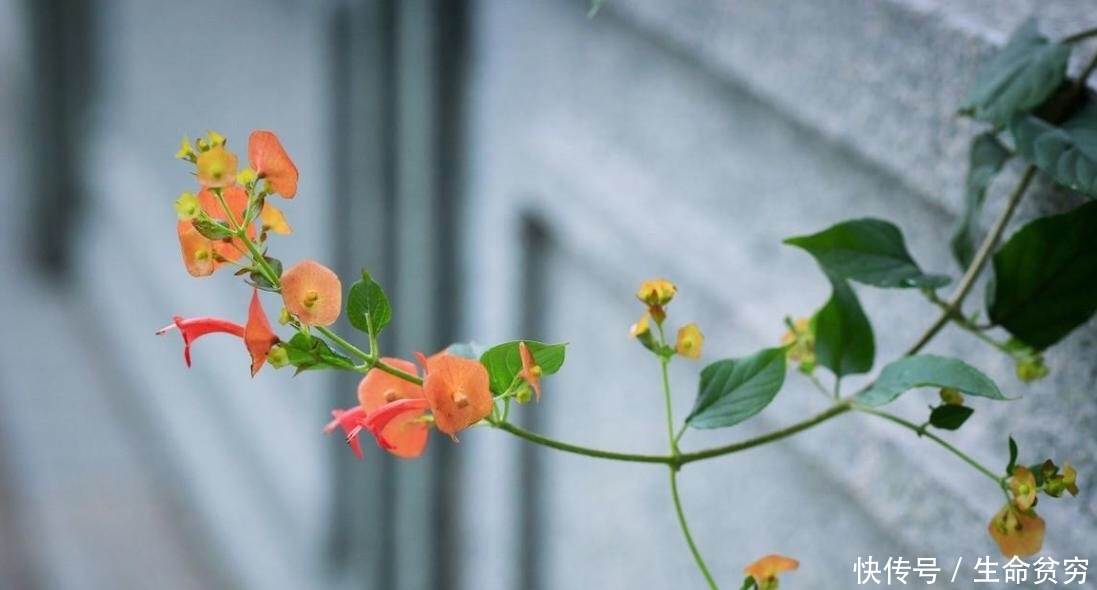 身边|人生:善待身边的这四个人,福运不请自来