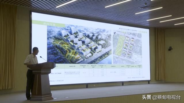 蔡甸|速看!蔡甸专场推介24宗优质地块