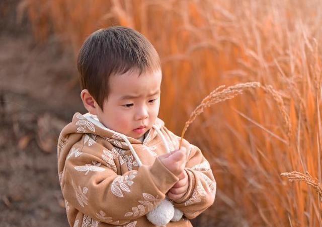 晚上|“孩子晚上一年幼儿园，可能改变一生轨迹！”