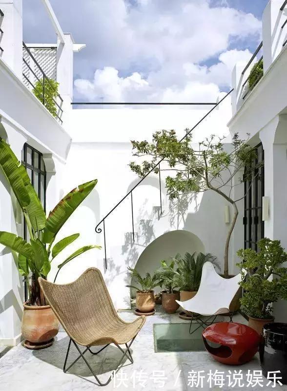 庭院种什么树好有些树真不能乱栽