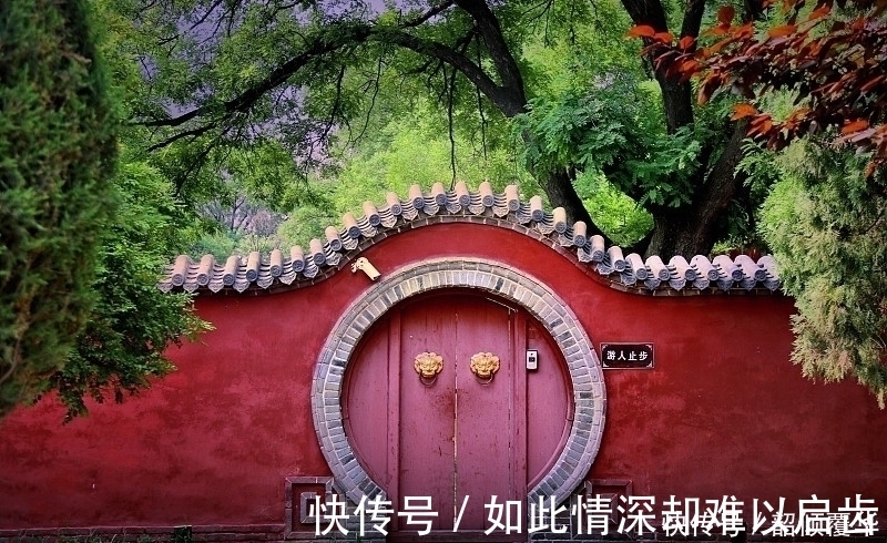 平等|儒家文化没有平等理念?那是因为它没有想过人与人之间还有不平等