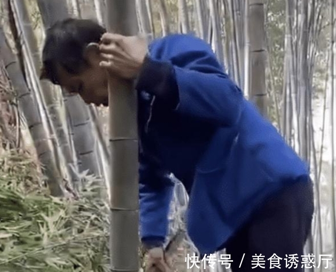 老范|“小马云”重新开启短视频，靠竹艺粉丝不到2W，网友：世态炎凉！