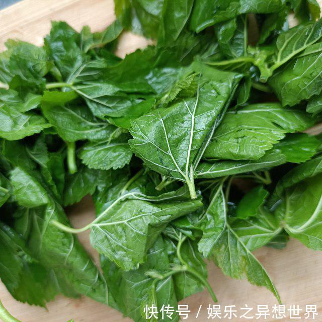 美食天下|蒸桑叶，清肺润燥、平肝明目