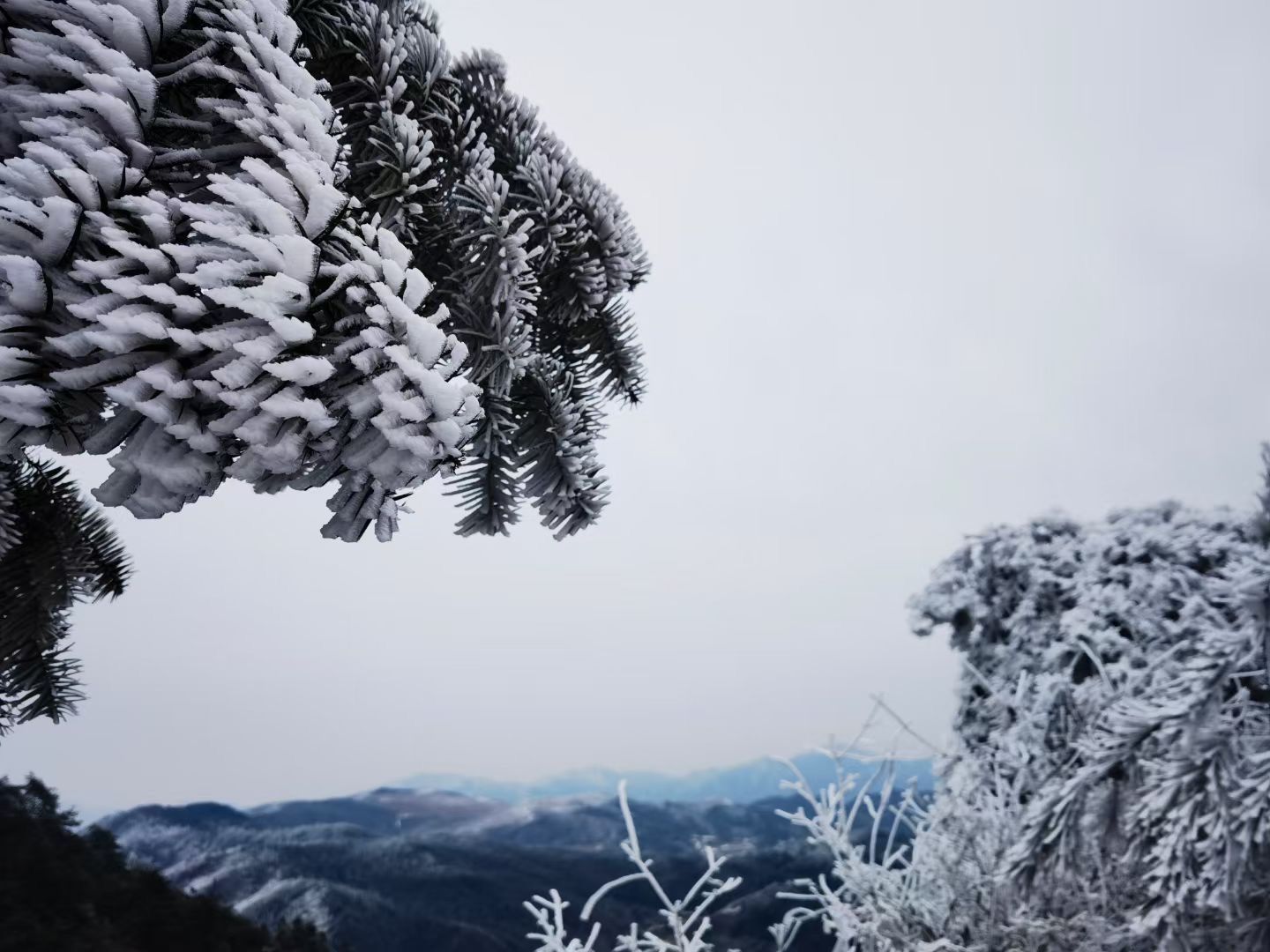 峰源雪景雾凇,美到心魄