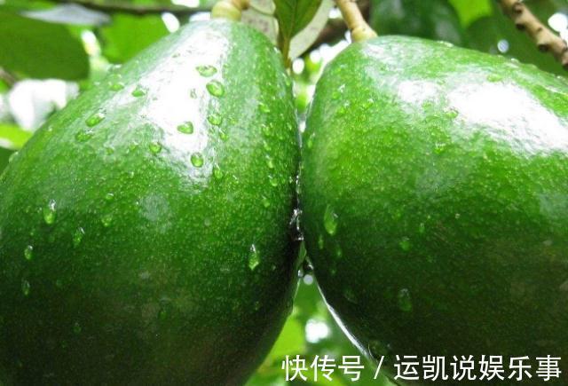 核桃|3物是“纯天然”叶酸,孕妈怀孕平时尽量多吃,或对胎儿发育有益