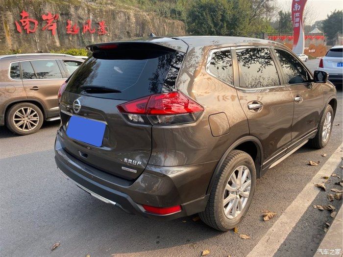 自驾奇骏观赏初春油菜花，采摘小番茄