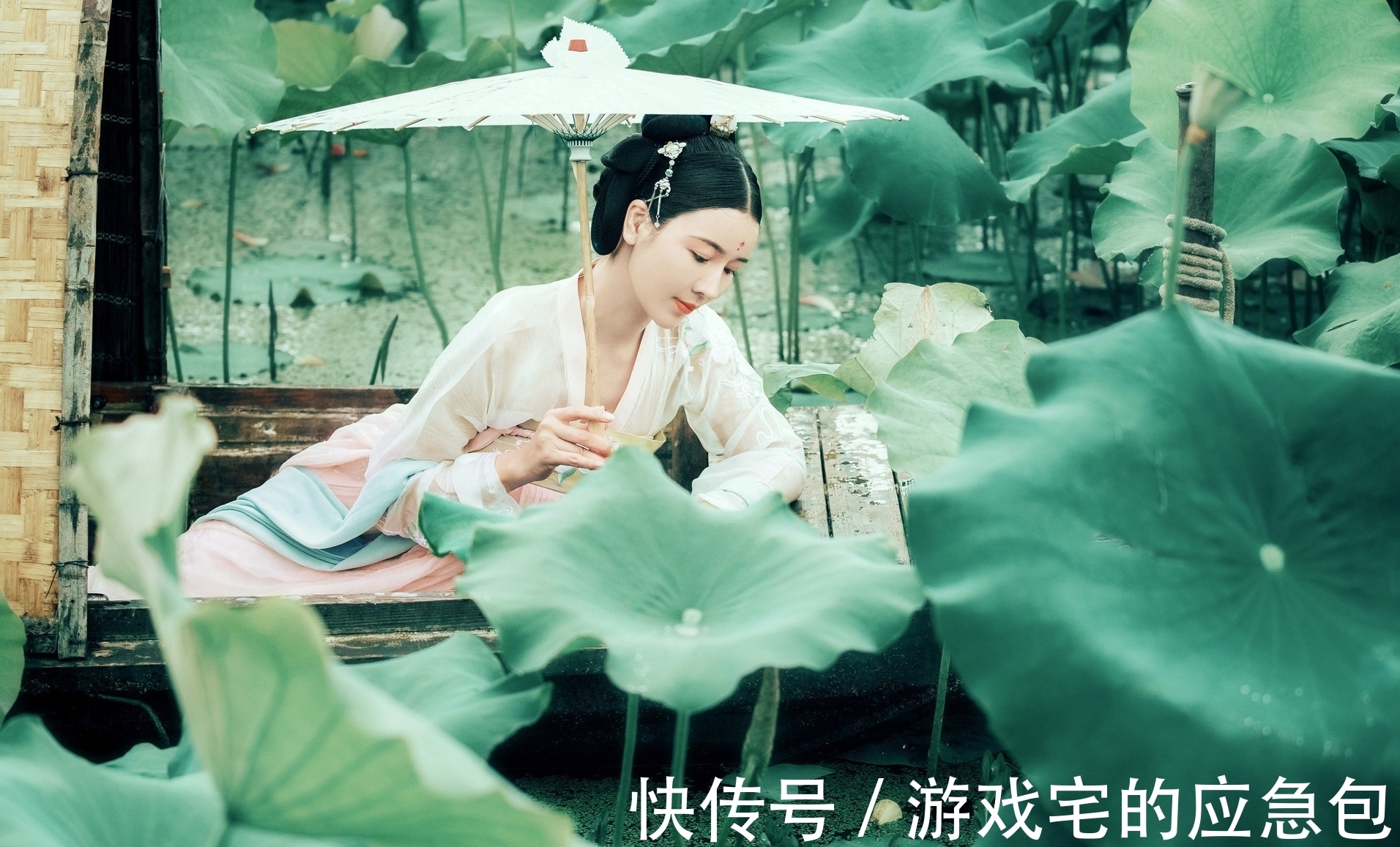 露寒!诗·十首丨露寒袭褪三分绿,雨冷摧来半数黄