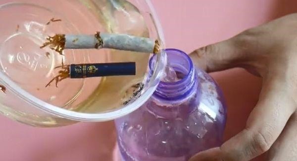 纱窗脏了根本不用拆下来洗,只需用一根香烟,纱窗立马干净如新