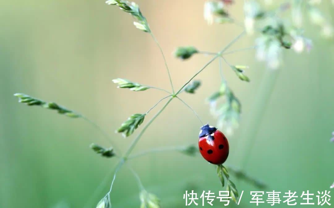 弦音!今生,为你写满相思