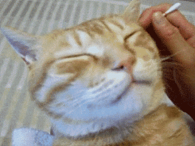 医生|为什么「掏耳朵」那么爽,医生却叫你住手?