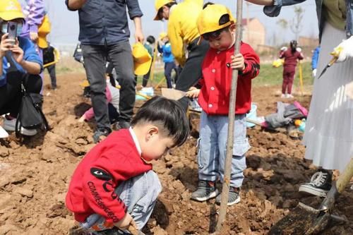 踏青白鹿，播种希望--陕西白鹿原影视城植树季活动圆满举办