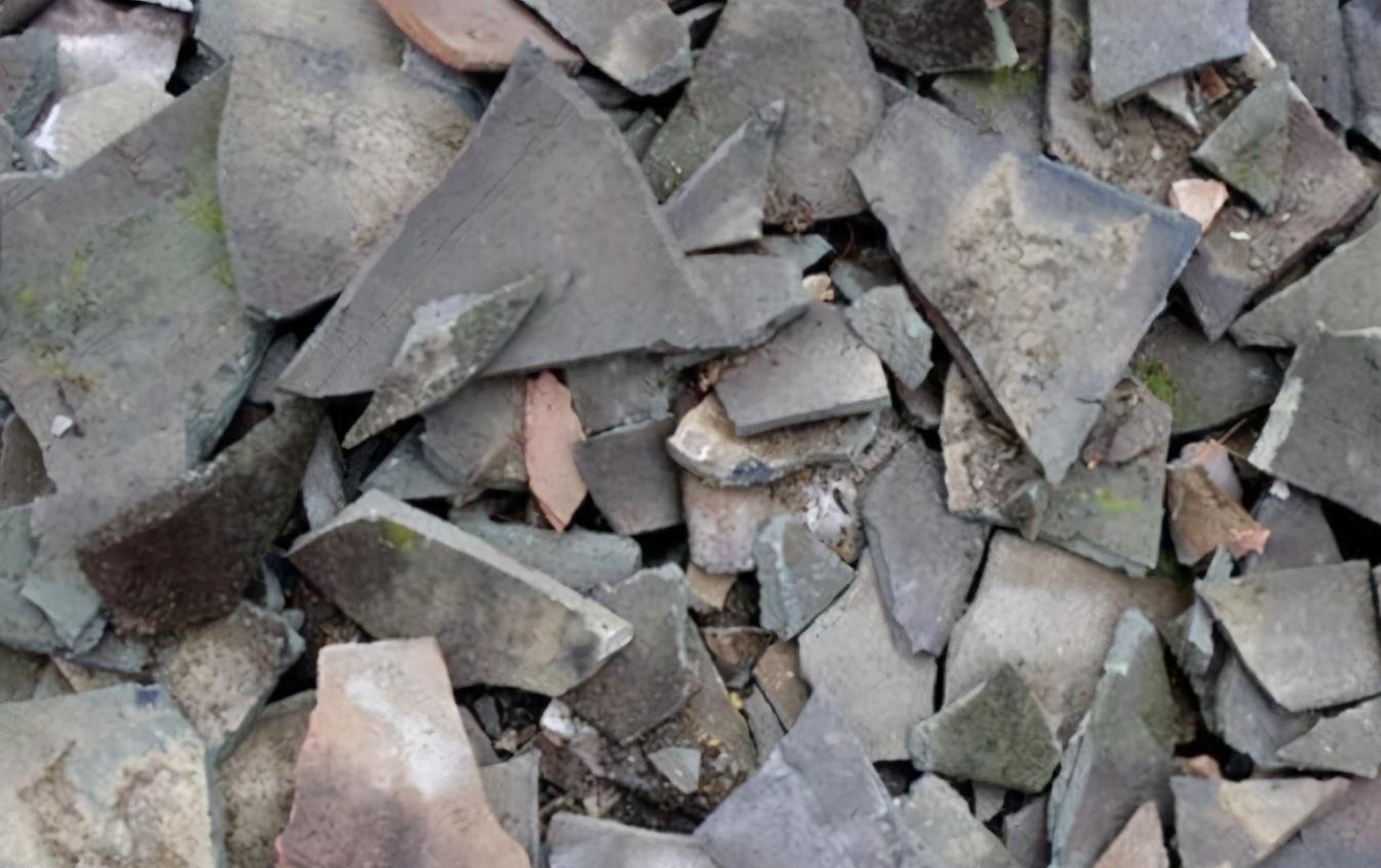 春季换盆“垫底”,十种材料不用花钱买,好用又透气,赶紧去找点