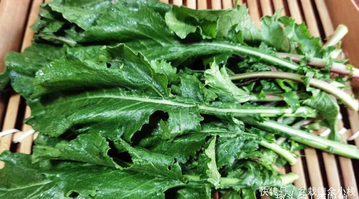 吃萝卜|此菜营养极高,很多人只吃果肉,其实叶子才是宝贝,蒸一锅太香了