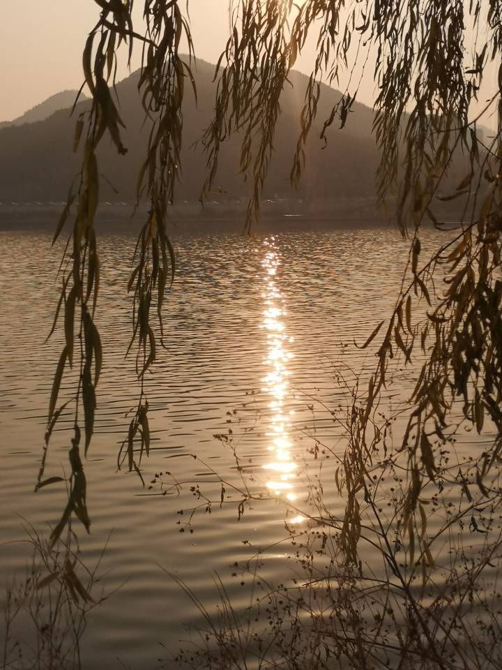 冬日济南凤凰湖|山东好景| 好景