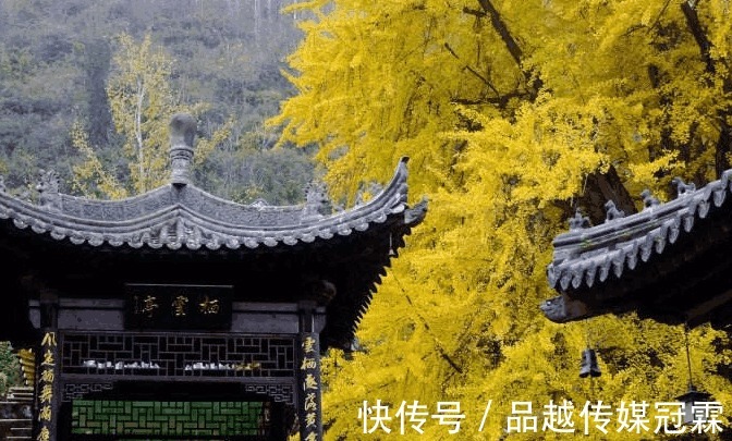 寺院|日赚百万都不要, 这座寺庙到底什么来头