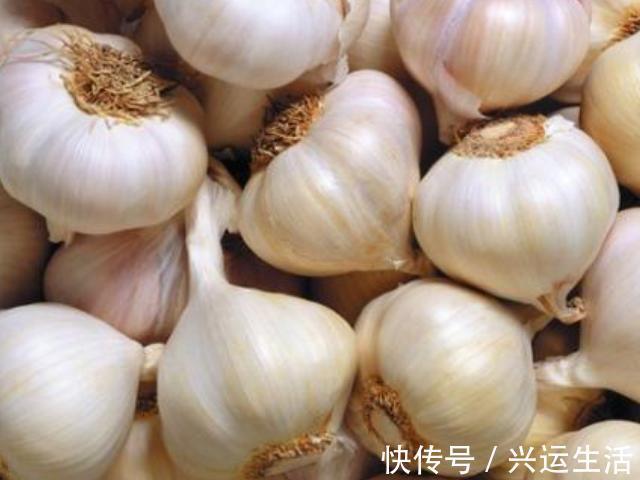 马齿苋|一旦查出糖尿病，再没钱也要多吃4物，血糖平稳，或比胰岛素强