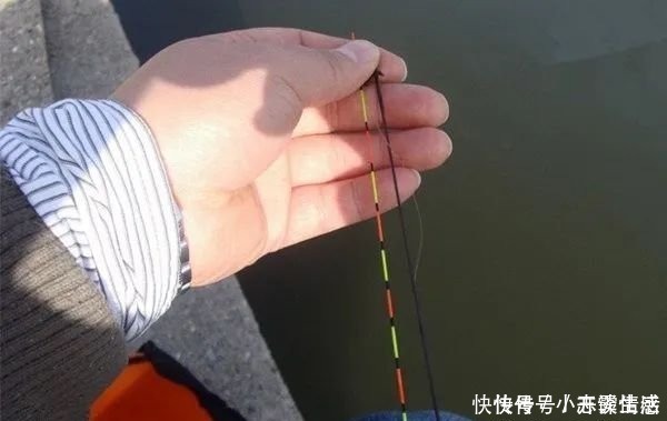 钓位|夏天钓鱼,这几个小细节不改过来,永远别想钓大鱼