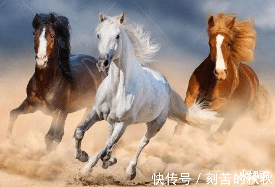 澹台灭明#古语说“语迟终显贵,步紧必定穷”,啥意思你是“贵人相”吗