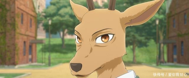 《BEASTARS》第二季开播！当狼爱上兔子的时候，鹿死谁手