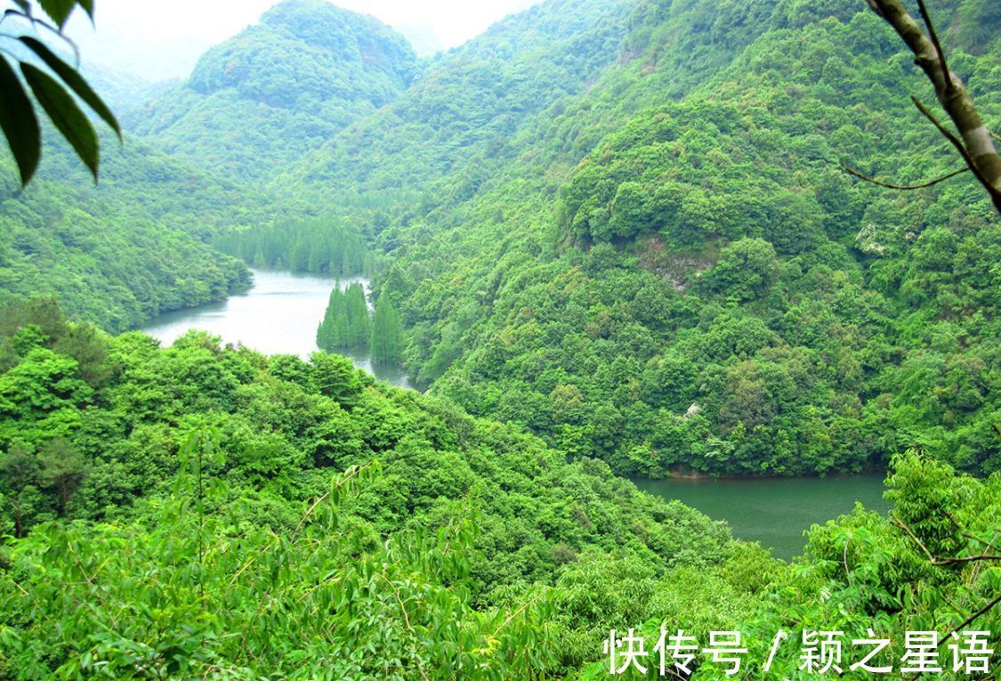 柴岙水库|豪华山庄，建成不到十年，被拆除