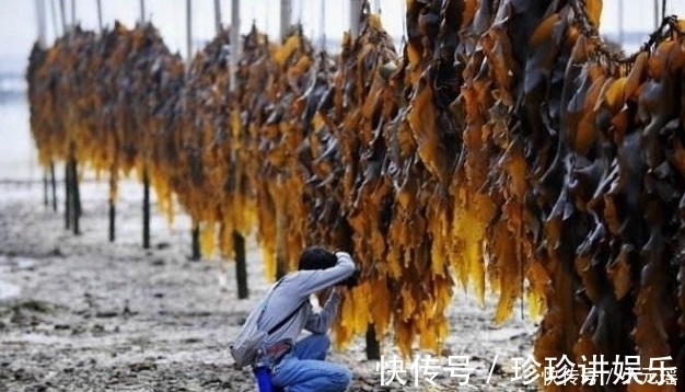 蒲公英|它是天然“黄体酮”,女人经常吃一点,子宫可能会对你说“谢谢”